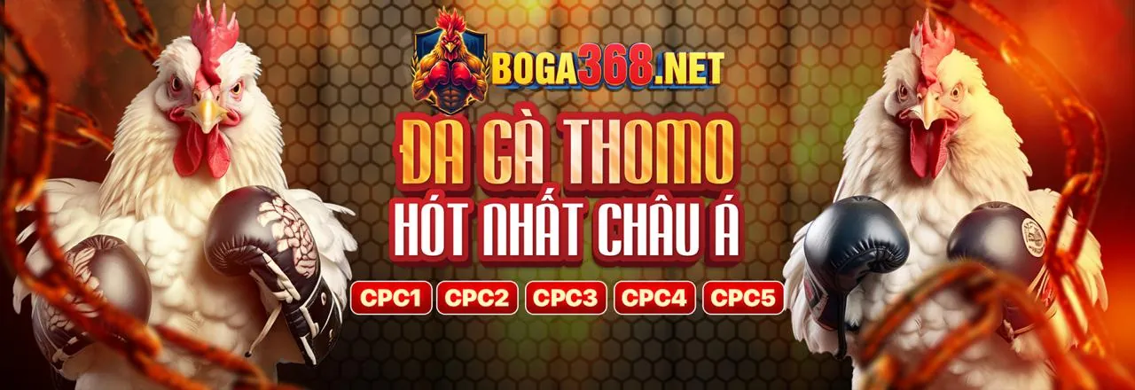 Các phương thức thanh toán an toàn tại ku888 casino