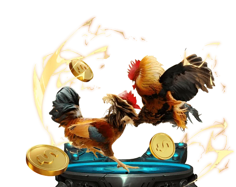 Các loại hình đá gà tại KU888 Casino